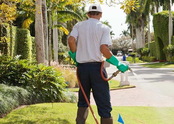 About Bernalillo NM Pest Control